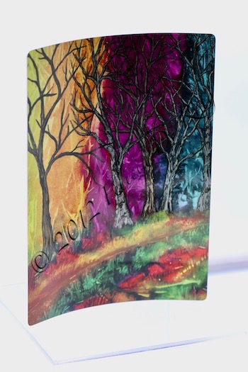 Illuminated Forest metal art print by Felicia D. Roth ©2012 rd-1